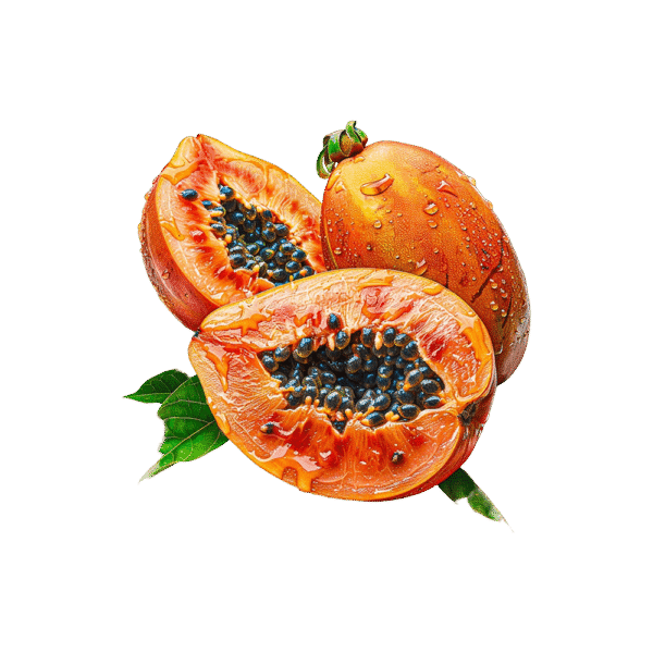 Carica Papaya
