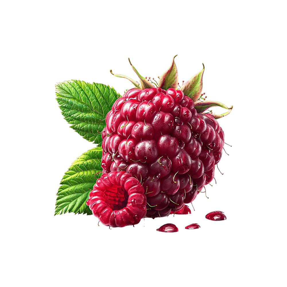 Fresh Raspberry