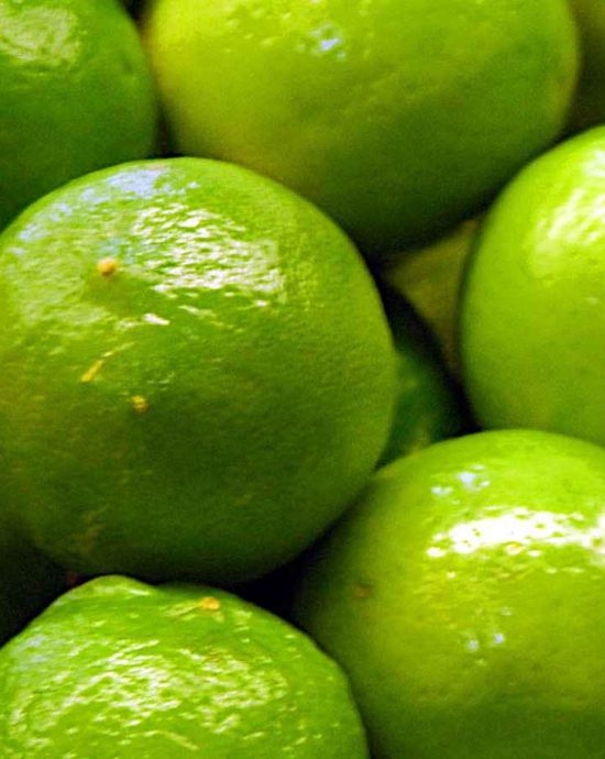 1e8e2ab5-abf7-46ee-86aa-8c7f2768193f