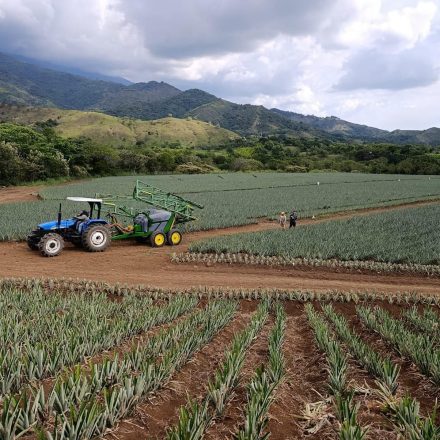 WhatsApp Image 2025-11-19 at 19.10.32