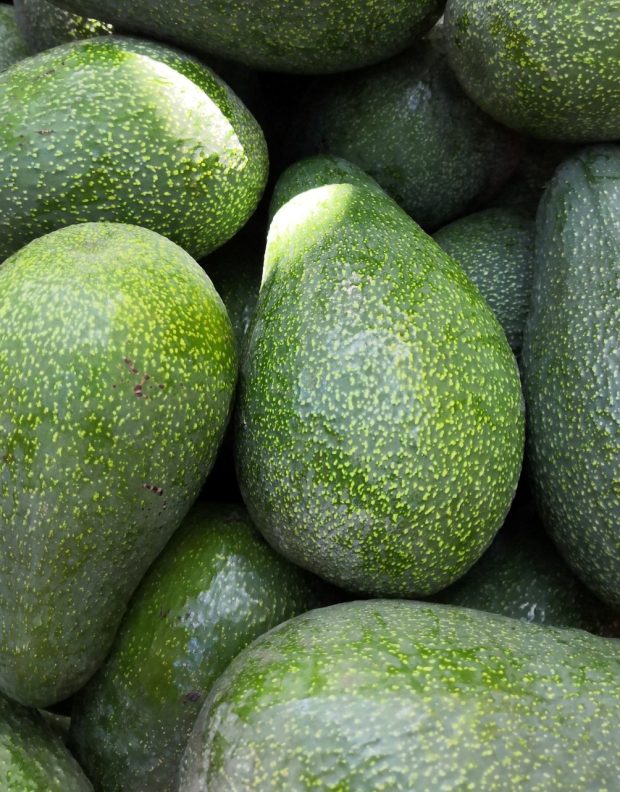 ec172eb8-fb17-423c-a04a-be22a0d10fb9